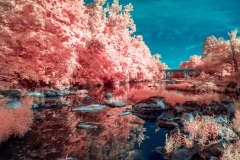 P1020113-Edit