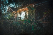 overgrown_house