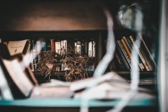 Happy Monday! When we camp at one of our favorite places, I drive by this #abandoned ice cream store and am always #curious as to why it #closed up. Do people not vacation there as much as in years past? Did the owners pass away? Did they move away? Whatever the reason for this place being #forgotten by people, the #birds have not allowed an #opportunity to pass them by. Through one of the #broken #windows you can see the small #library in the rear of the ice cream shop has become home to a family of birds.